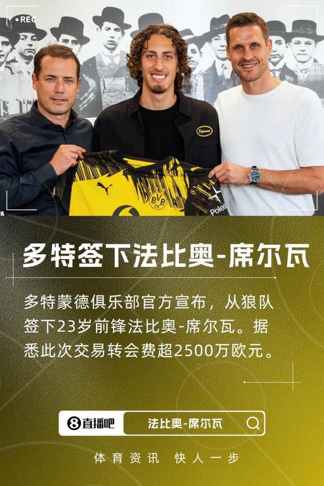 多特新援法比奧，2500萬歐加盟，球隊(duì)實(shí)力強(qiáng)，有望歐冠奪冠。